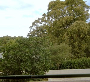 Same view on a bit of an overcast day.