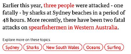 shark attack news